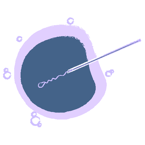 ICSI